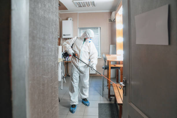 Mold Remediation for Vacation Homes